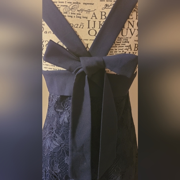 NWT! Banana Republic Navy Lace Cocktail Dress Size 8 - Picture 4 of 7